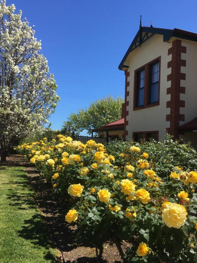 Wine And Roses Bed And Breakfast 애들레이드 외부 사진