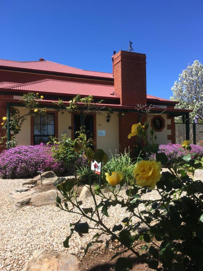 Wine And Roses Bed And Breakfast 애들레이드 외부 사진