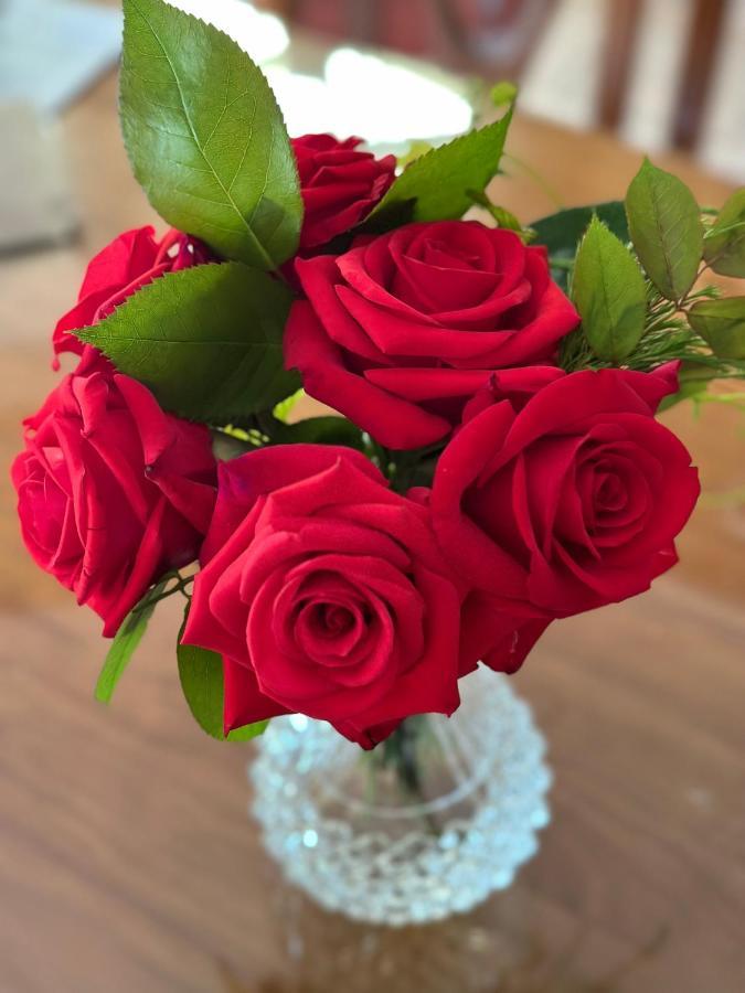 Wine And Roses Bed And Breakfast 애들레이드 외부 사진