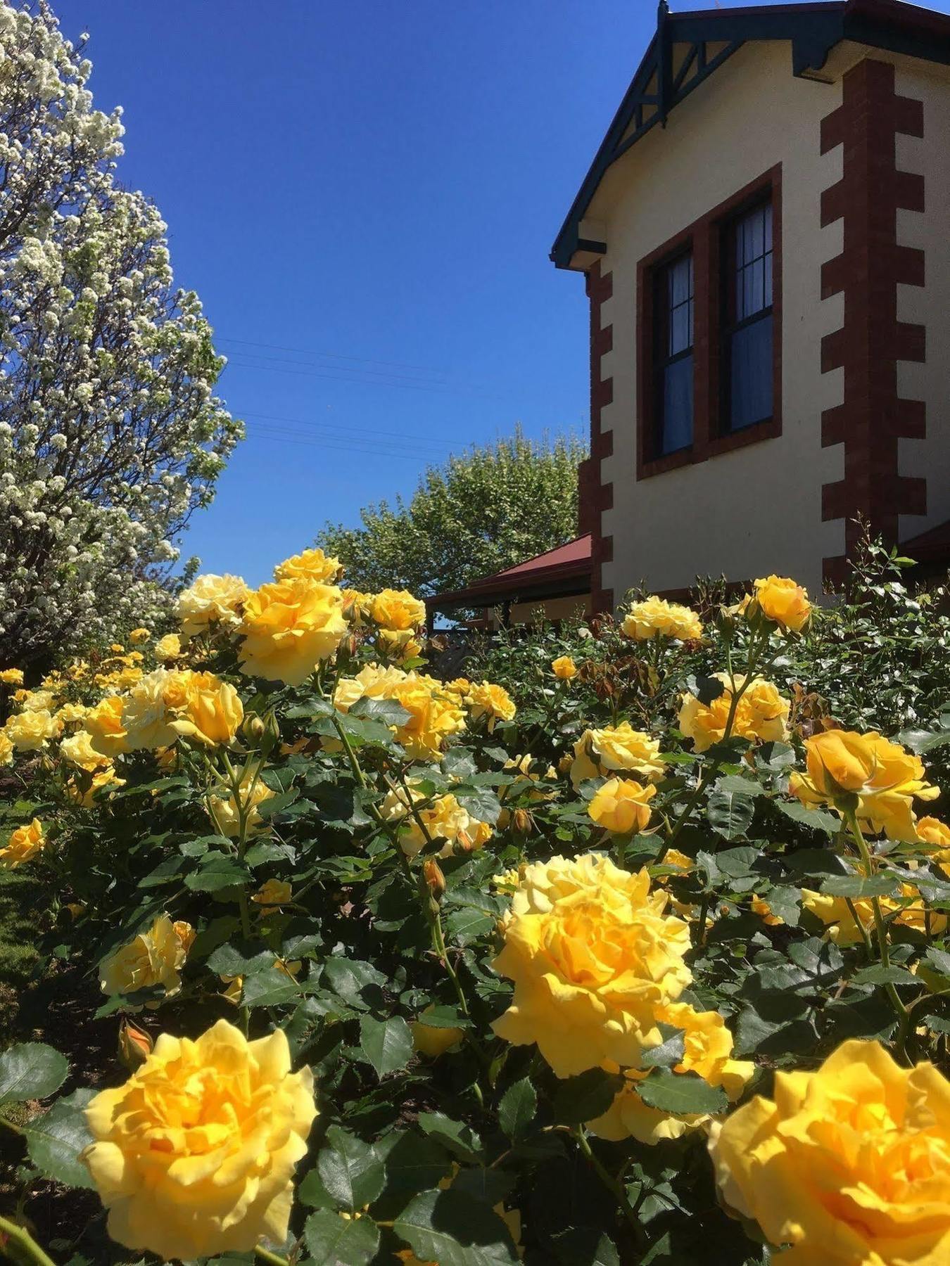 Wine And Roses Bed And Breakfast 애들레이드 외부 사진